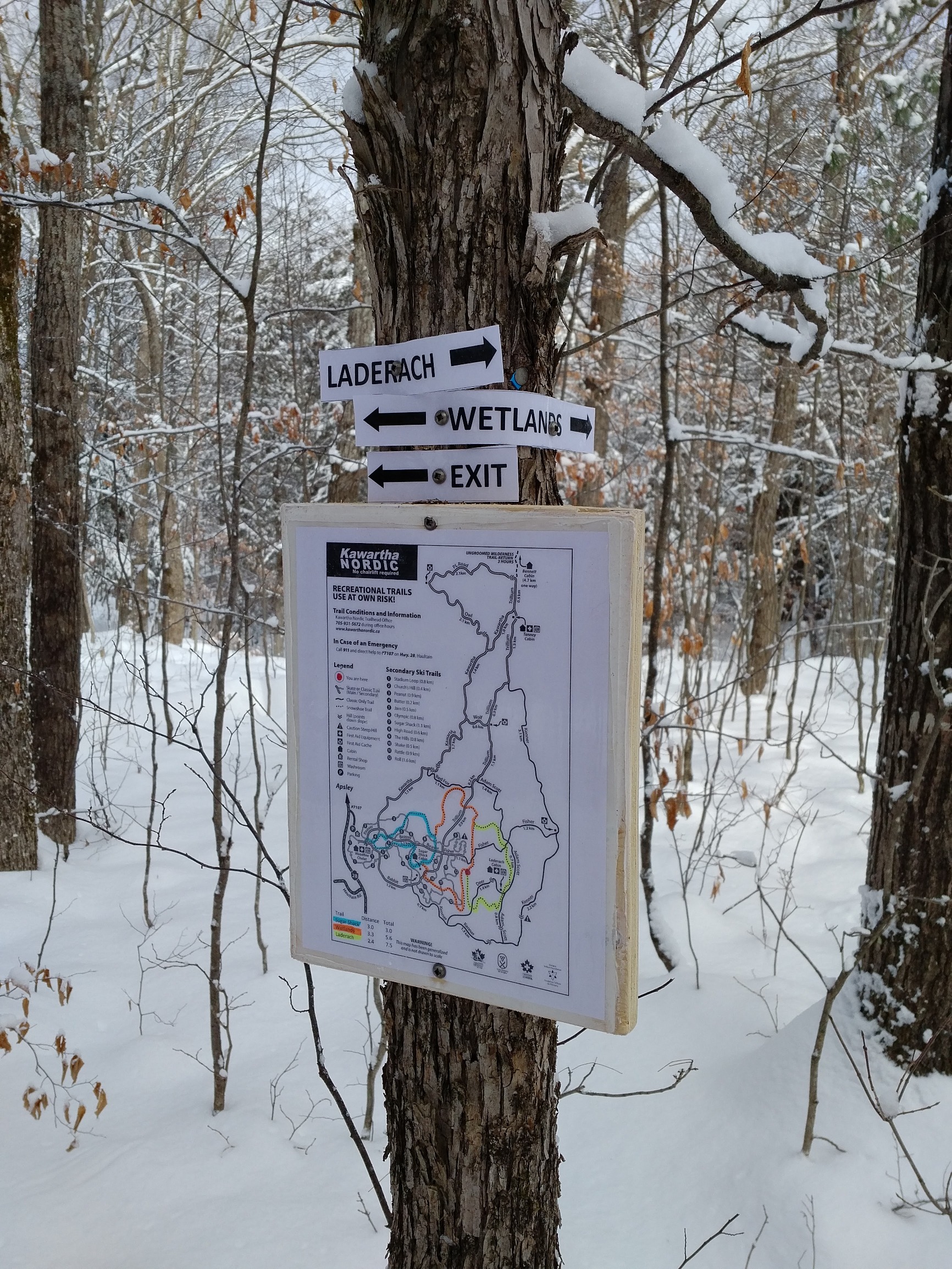 Snowshoe trail map