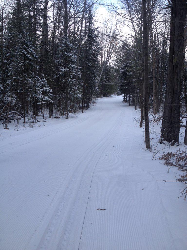 Beaver trail on Feb 10, 2016