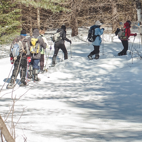 Enjoying the snowshoe trail